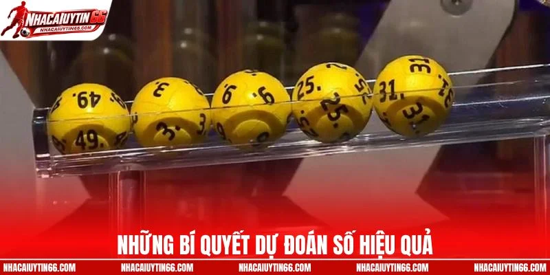 Những bí quyết dự đoán số hiệu quả