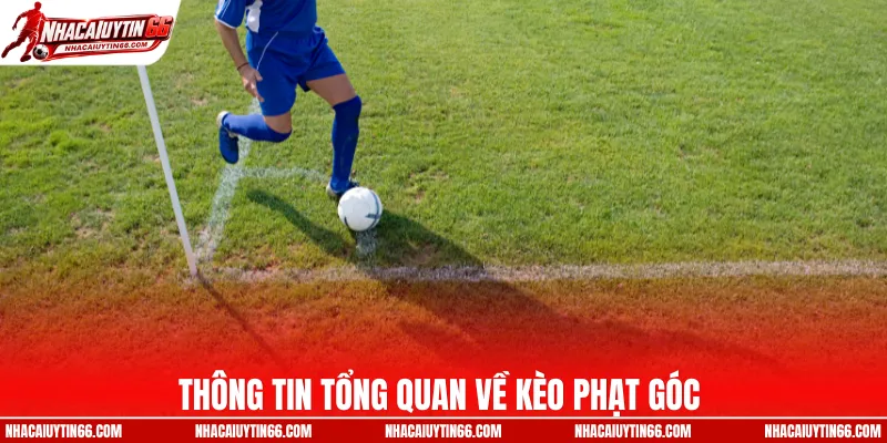 Thông tin tổng quan về kèo phạt góc